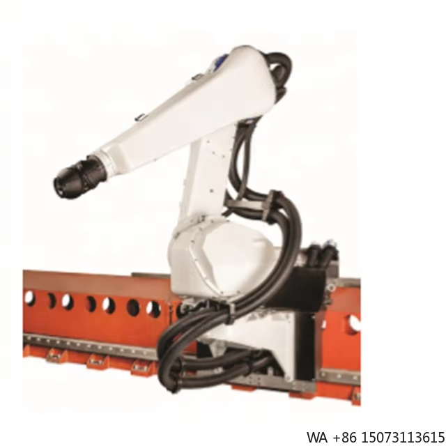 6-osiowy robot malarski z dużą – Robot Gripper recenzja i cena