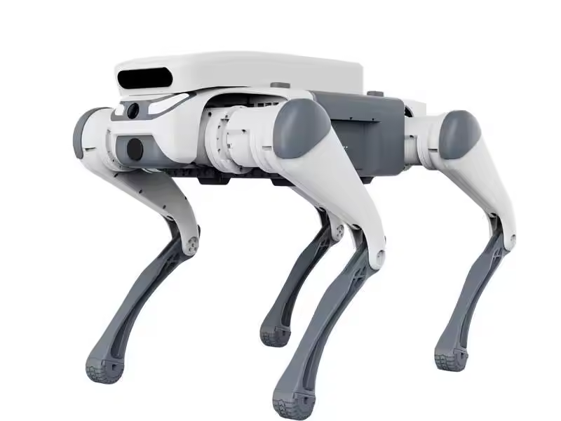 Zdalnie sterowany pies robotyc – Robot Remote Control recenzja i cena